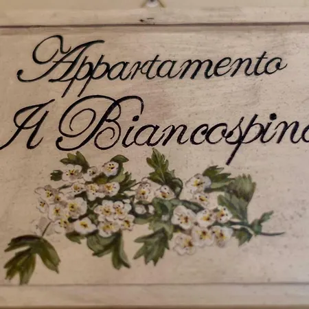 Biancospino Abbadia San Salvator